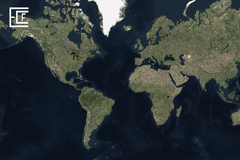 İhracat ve <br>Global Tedarik